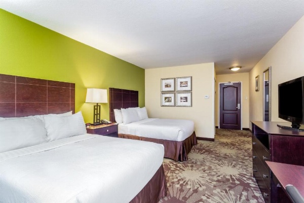 Holiday Inn Chicago North - Gurnee image 25