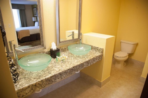 Holiday Inn Chicago North - Gurnee image 26
